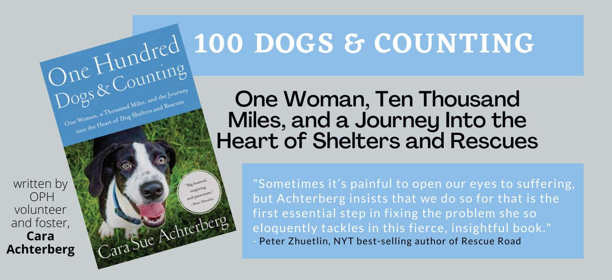 100 Dogs and Counting by Cara Sue Achterberg