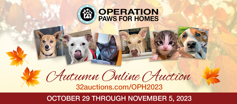 Annual OPH Auction