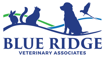 Blue Ridge Veterinary Associates