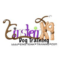 Einsteink9 Dog Training