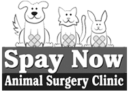 Spay Now Animal Surgery Clinic